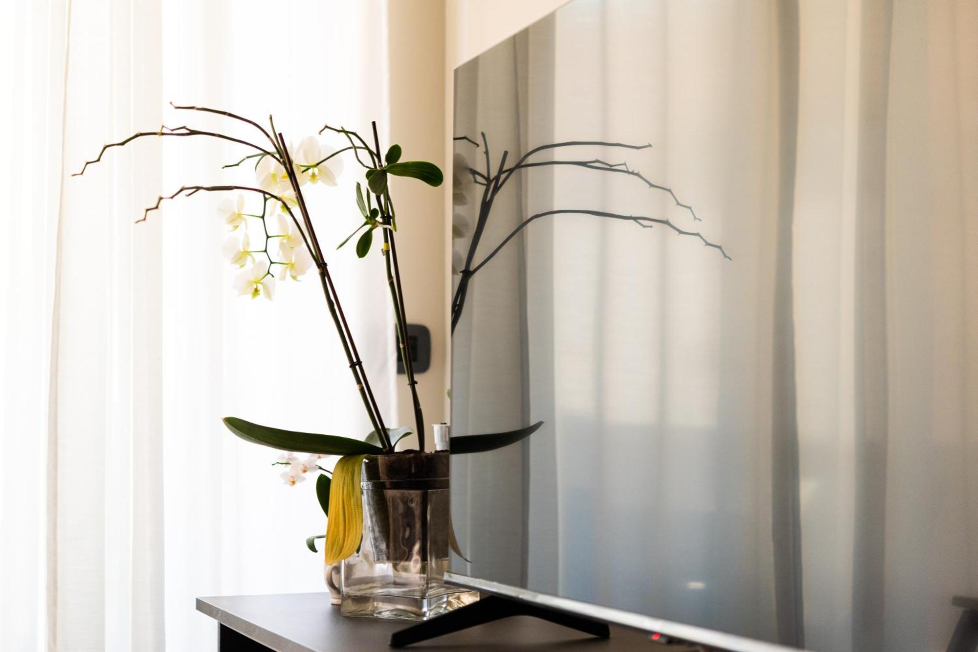 Appartamento Casa Delfy Roma