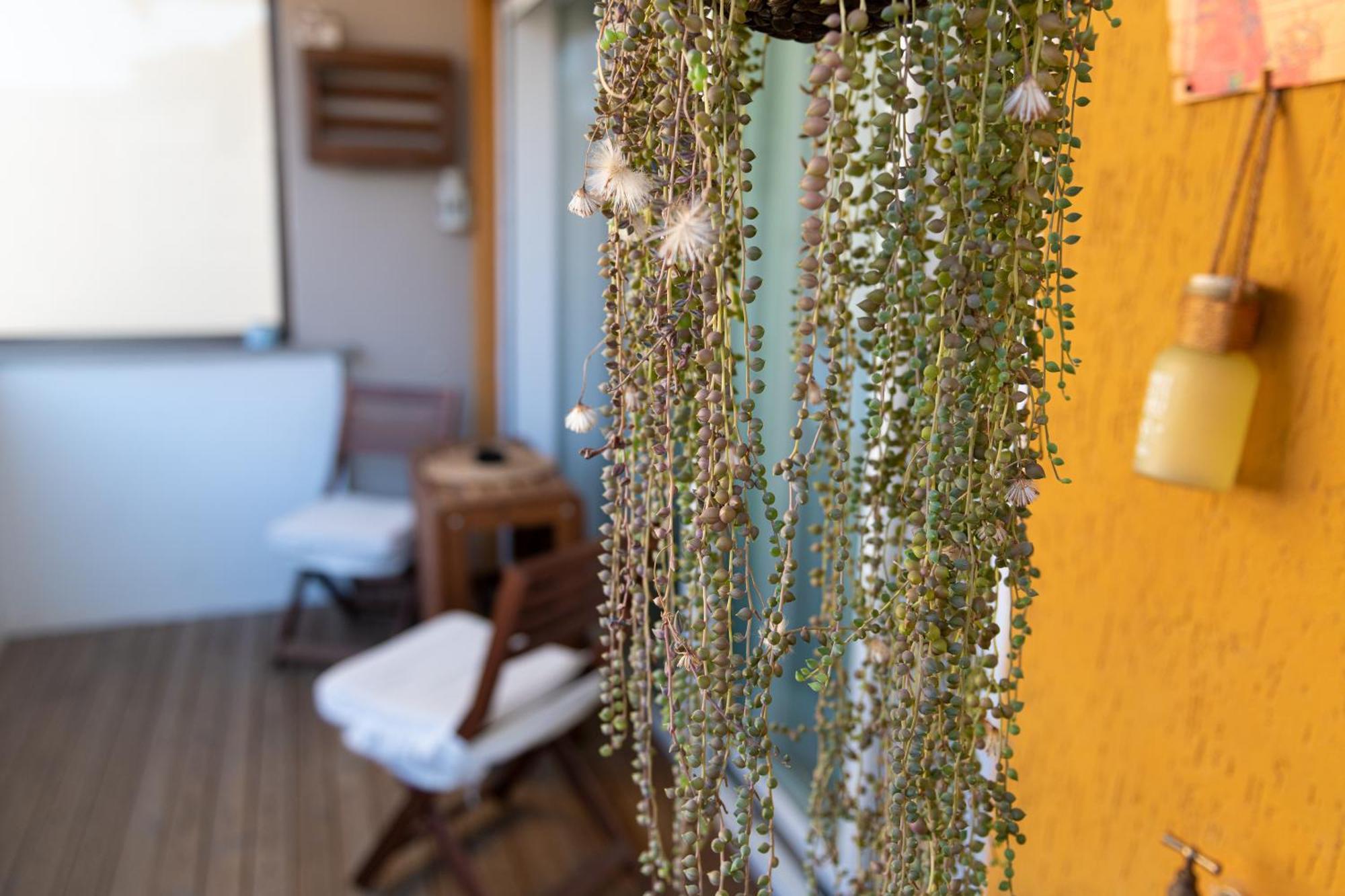 Casa Delfy Appartamento *