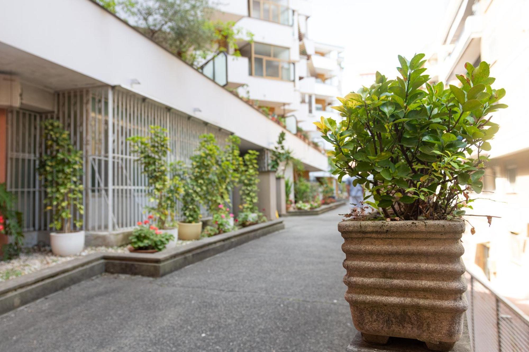 Casa Delfy Appartamento *